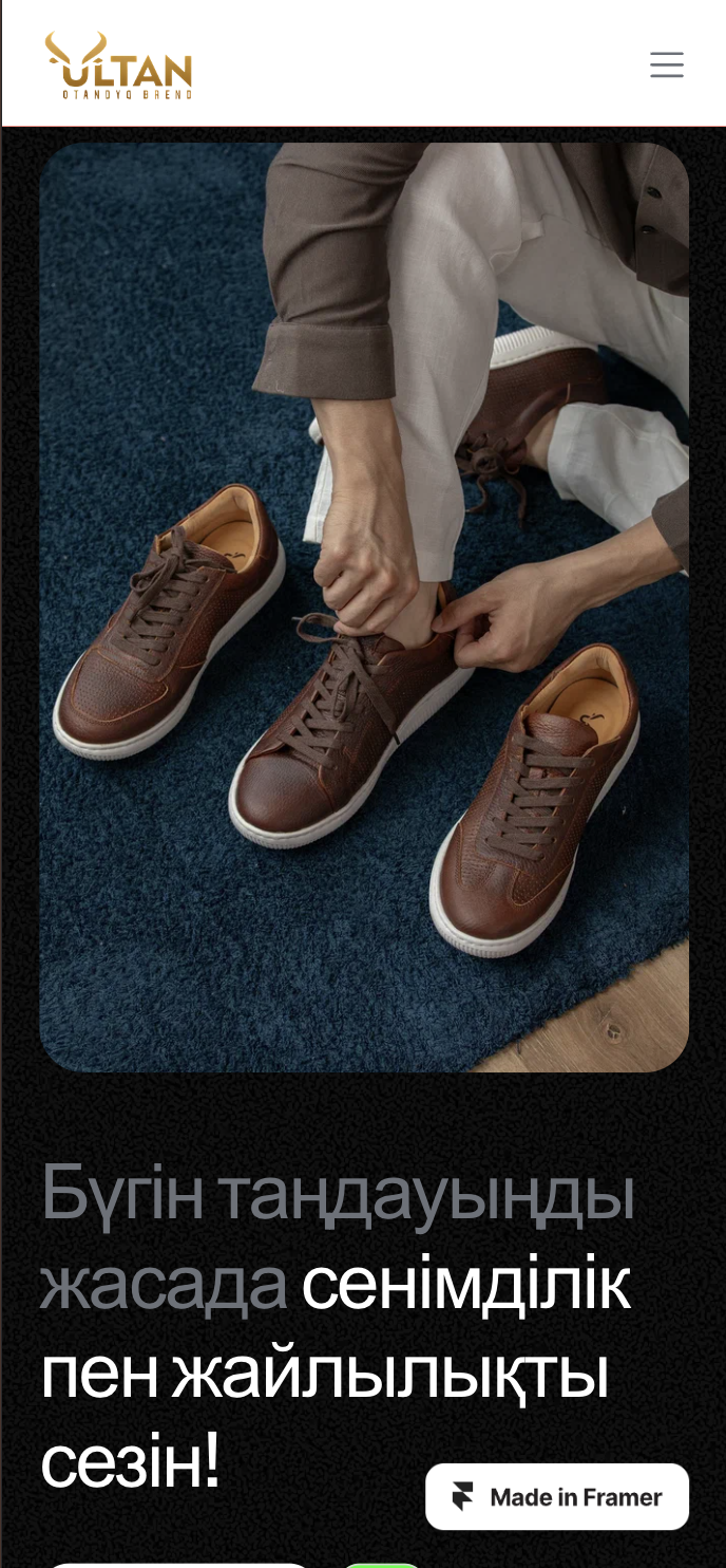 Site preview 2